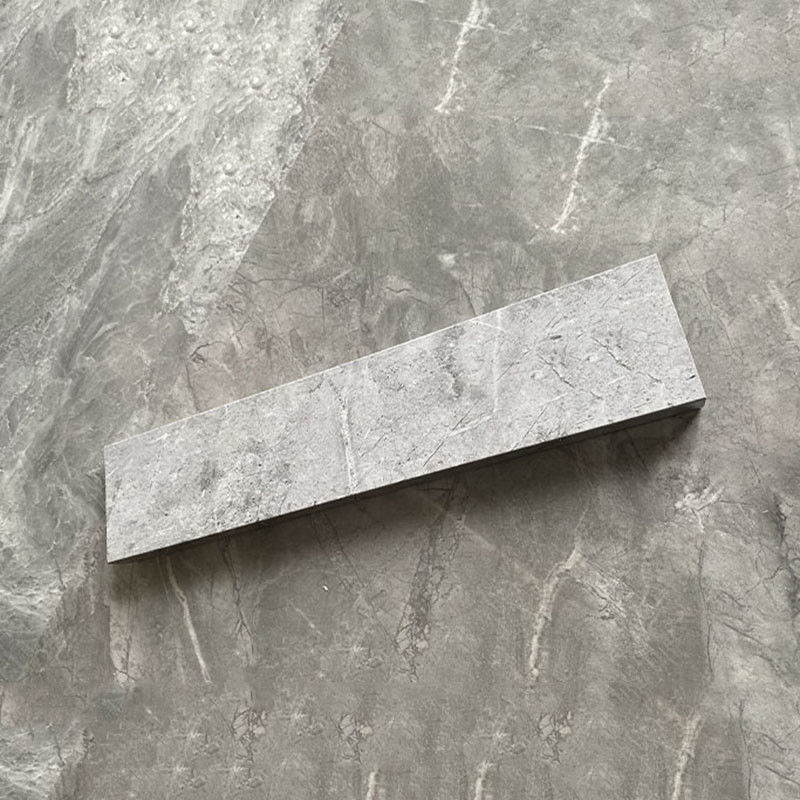 Conseil de bordage adapté aux besoins du client par décoration à la maison de fenêtre des châssis de fenêtre protecteurs